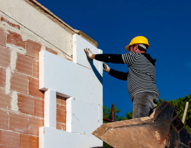 Best Wall Insulation Contractor  in Brevard, NC