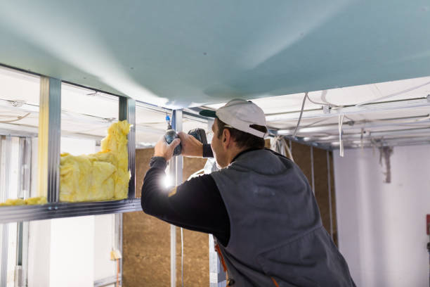 Best Blown-in Insulation  in Brevard, NC