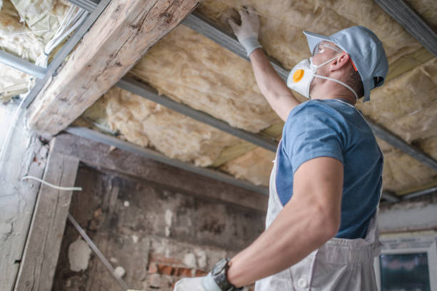 Best Crawl Space Insulation  in Brevard, NC