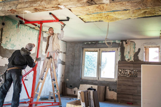 Best Energy-efficient Insulation  in Brevard, NC