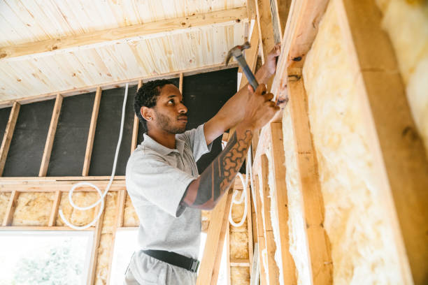 Best Insulation Removal  in Brevard, NC