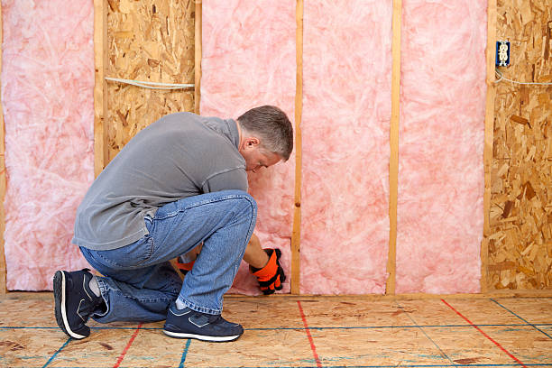 Best Cellulose Insulation  in Brevard, NC