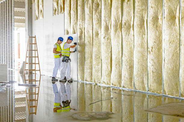 Best Insulation Replacement Services  in Brevard, NC